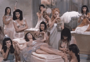 Wifey Beauty VIP Beauty Therapy