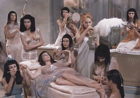 Wifey Beauty VIP Beauty Therapy